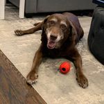 Derek Foley - @derekfoley78 - Instagram