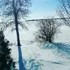 derek fontaine - @derekfon19 - TikTok