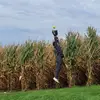 Derek Fry - @derekfry3 - TikTok