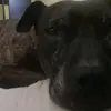 DerekFurro - @buscoduo36 - TikTok