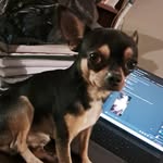@derekmirkogalarzamontano - Instagram