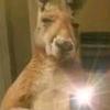 Derek Galindo - @derek.galindo36 - TikTok