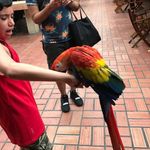 Derek Gallardo - @gallardoderek14 - Instagram