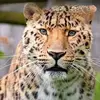 Derek Gallimore - @derek.gallimore - TikTok