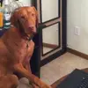 Derek Galloway - @derek.galloway0 - TikTok