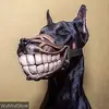 Derek Galvan - @rondale57 - TikTok