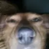 derek galvan perez - @derek.galvan.pere - TikTok