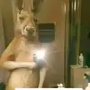 Derek Mathew Galvan - @derek.mathew.galv - TikTok