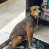 Derek Garduño Meza - @derek.garduo.meza - TikTok