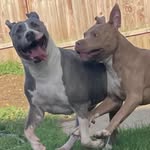 Derek Garrett - @derek.garrett.75 - Instagram