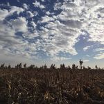 Derek Gates - @rockchalkgates - Instagram