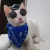Derek o Gato - @_derek_o_gato_ - TikTok