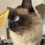 @derekgatosiames - Instagram