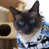 Derek.ogato - @derek.ogato - TikTok