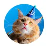 derekogato_ - @derekogato_ - TikTok