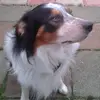 derekgeer785 - @derekgeer785 - TikTok