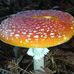 Derek Gehring - Facebook
