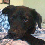 Derek Gentry - @dgentry74 - Instagram