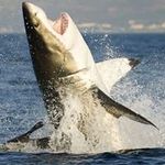 Derek Gerrard - @derek.gerrard.503 - Instagram