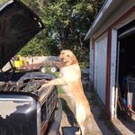 Derek Gifford - @gifford_derek - Instagram
