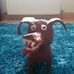 Derek Gilchrist - Facebook