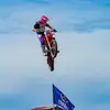 Derek_Gillespie - @derek_gillespie - TikTok