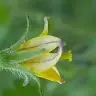 Derek Grasser - @derekgrasser - TikTok