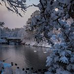 Derek Gladden - @gladtohavefun - Instagram