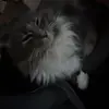 derekgch - @derekgch - TikTok