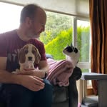 Derek Gleeson - @lifes_a_beagle - Instagram
