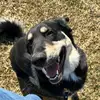 derekgoodspeed432 - @derekgoodspeed432 - TikTok