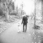 Derek O Gorman - @delogorman - Instagram