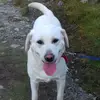 derekgorman - @derekgorman - TikTok