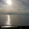 Derek Gormley - @derekgormley500 - TikTok