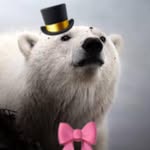 Derek Gott - @bearlyevenfunctional - Instagram