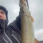 Derek Gough - @gough2323 - Instagram