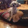 Derek Grabowski - @tobi427annabella - TikTok