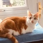 @grange.derek - Instagram