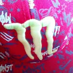 derek likes to eat grass - @derekthecow21 - Instagram
