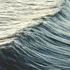 derekgrauer239 - @derekgrauer239 - TikTok