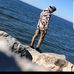 Derek Grondin - Facebook