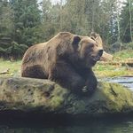 Derek Guest - @dguest33 - Instagram