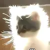 Dereck Guevara - @dereck.guevara2 - TikTok