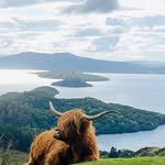 Derek Gunn - @derekgunn78 - Instagram