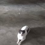 Derek Guzman - Facebook
