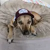 derekhaag771 - @derekhaag771 - TikTok