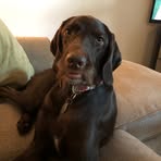 Derek Hackney - Facebook