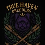 Derek Haley - @true_haven_breeders_club - Instagram