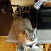 Derek Haley - @derek.haley5 - TikTok