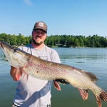 Derek Hamilton - @derekhamilton187 - Instagram